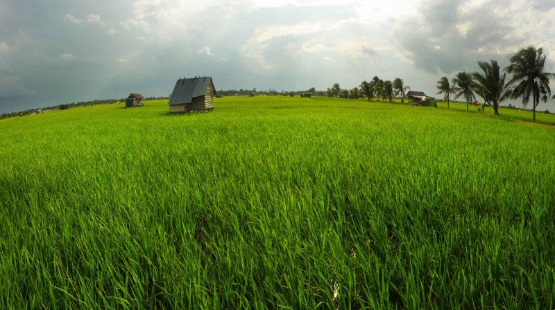 Gallery 3d40c32ff409f341a46523b7edc147b3.jpg