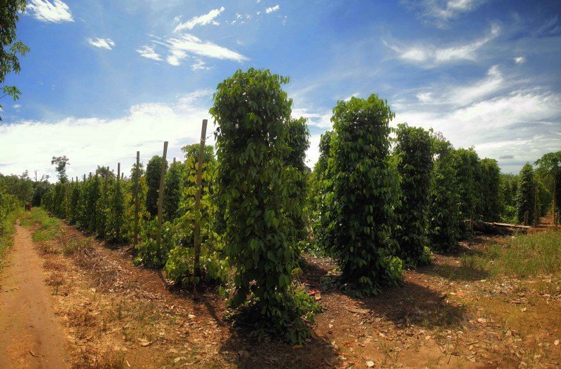 Gallery 43d4ee16f15d08e9c105740e83600d6a.jpg