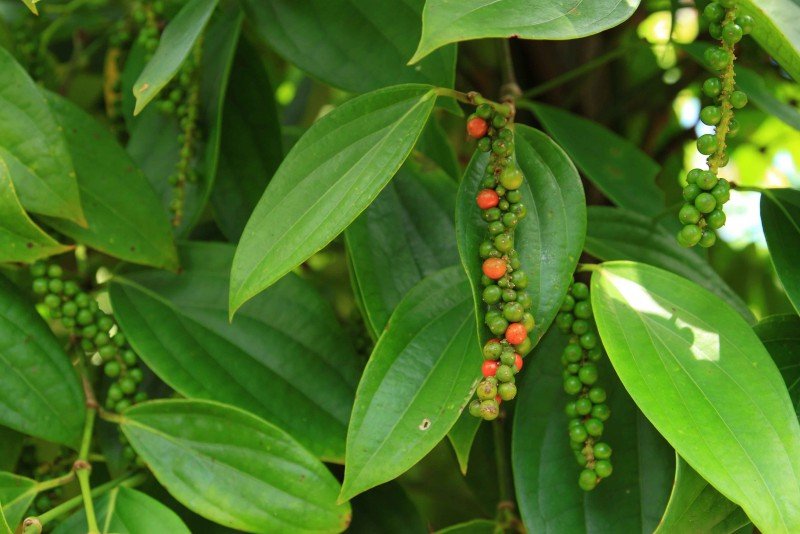 Gallery b93839a94cf436d55e20a0d1765aead4.jpg